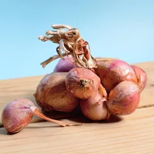 Bawang Merah
