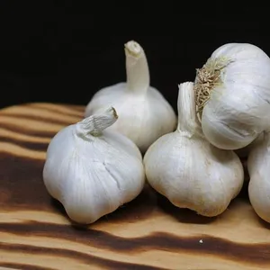 Bawang Putih