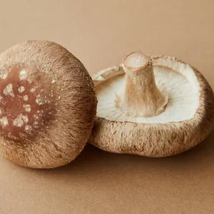 Jamur Shiitake