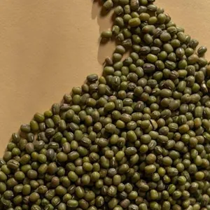 Kacang Hijau