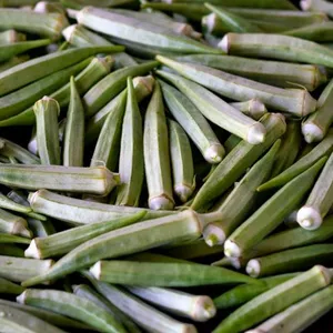 Okra Hijau